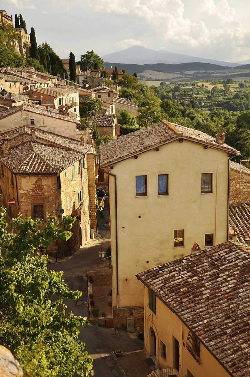 Picturesque Vineyards